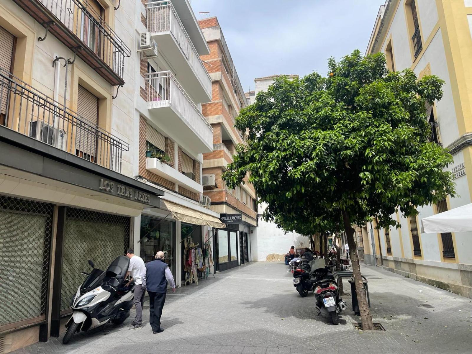 Apartamentos Azonaicas Centro Tendillas Córdoba Kültér fotó